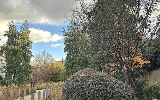 Confort et calme au cœur de la ville