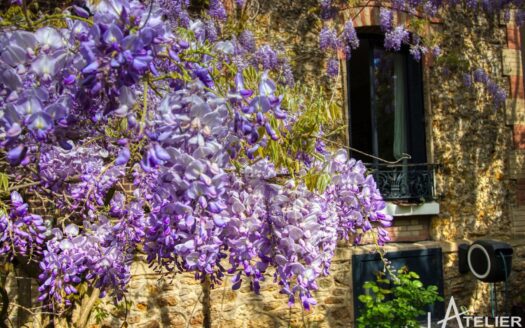 Magnifique Meulière rénovée avec jardin et stationnement