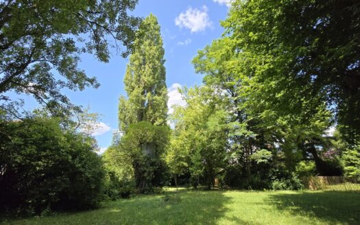 Terrain constructible et viabilisé – emplacement rare