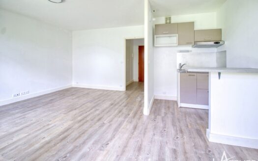 Très beau studio lumineux avec grande terrasse