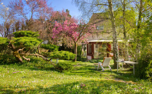 Grande maison familiale sur un beau et grand jardin paysager