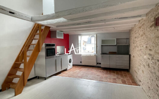 T1 Duplex-  Quartier Decré